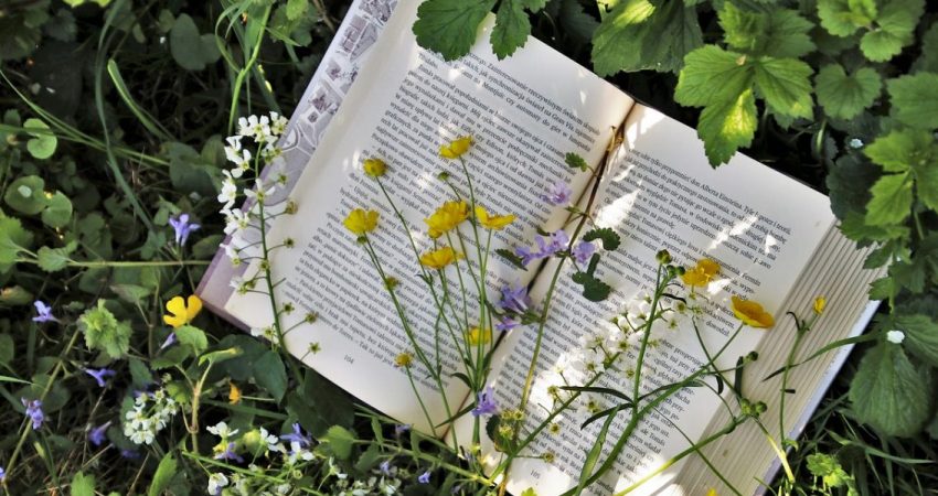 Reading + Nature = The Ultimate Relaxation!