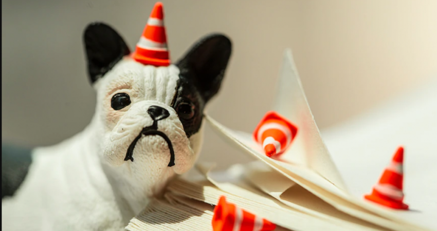 Book Care: Don’t Dog-Ear the Pages!