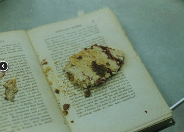 Book Care: Don’t Leave Food Near Your Library Books!